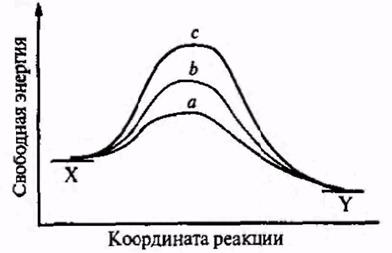 Термодинамический и кинетический контроль - student2.ru