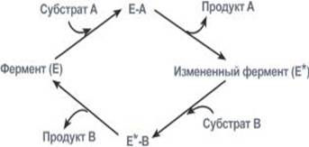 Типы ферментативных реакций. 1 На чем основан ферментативный катализ? - student2.ru