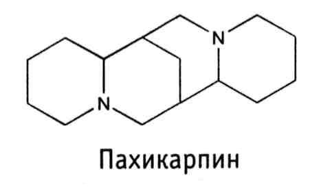 трава софоры толстоплодной - herba sophorae pachycarpae - student2.ru