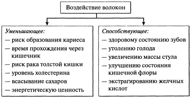 Третий принцип рационального питания - student2.ru