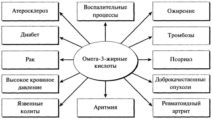 Третий принцип рационального питания - student2.ru