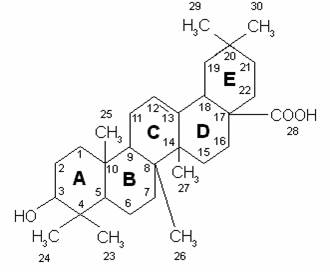 Тритерпеновые сапонины (гликозиды). У многих тритерпеновых сапонинов сапогенином является олеаноловая кислота. - student2.ru