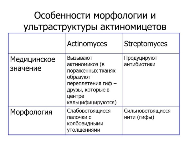 УЛЬТРАСТРУКТУРА БАКТЕРИАЛЬНОЙ КЛЕТКИ. Микро- и макрокапсула бактерий. - student2.ru