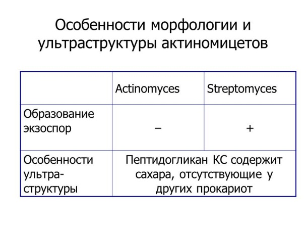 УЛЬТРАСТРУКТУРА БАКТЕРИАЛЬНОЙ КЛЕТКИ. Микро- и макрокапсула бактерий. - student2.ru