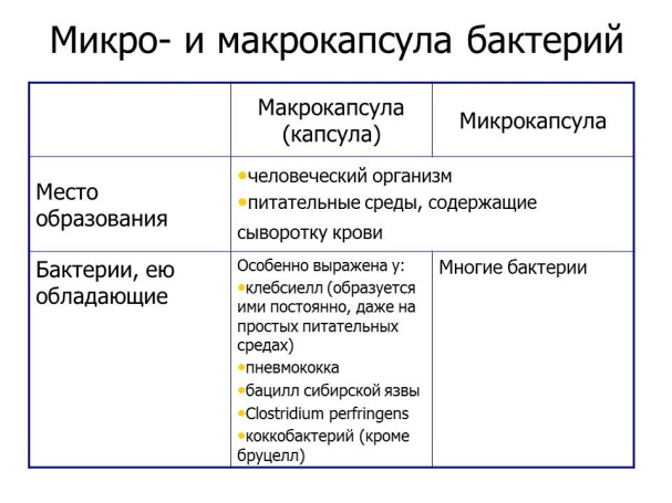 УЛЬТРАСТРУКТУРА БАКТЕРИАЛЬНОЙ КЛЕТКИ. Микро- и макрокапсула бактерий. - student2.ru