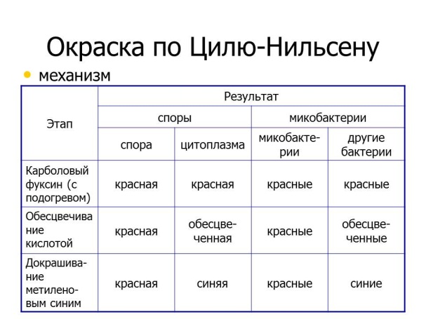 УЛЬТРАСТРУКТУРА БАКТЕРИАЛЬНОЙ КЛЕТКИ. Микро- и макрокапсула бактерий. - student2.ru