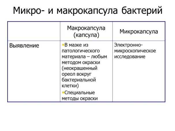 УЛЬТРАСТРУКТУРА БАКТЕРИАЛЬНОЙ КЛЕТКИ. Микро- и макрокапсула бактерий. - student2.ru