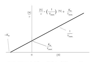 Уравнение Михаэлиса-Ментен - student2.ru