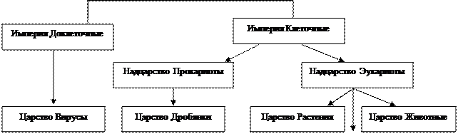 Уровни организации жизни на Земле. - student2.ru