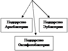 Уровни организации жизни на Земле. - student2.ru