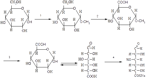 Установите правильную последовательность. Получение натриевой соли D-глюкуроновой кислоты из D-глюкозы требует использования реагентов в следующей последовательности - student2.ru
