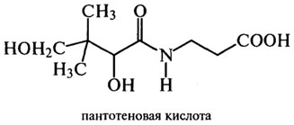 водорастворимые витамины - student2.ru