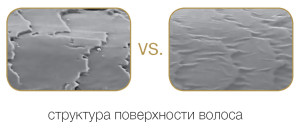 Волос под микроскопом «до» и «после» процедуры - student2.ru