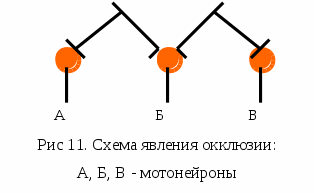 Второй уровень интеграции – нейронные сети - student2.ru