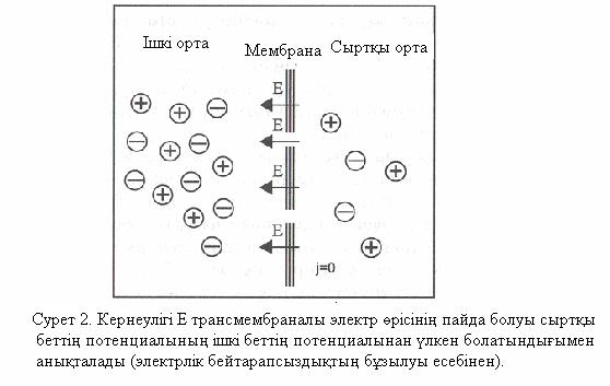 Электрохимиялық потенциал. - student2.ru