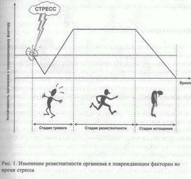 Эрнандес Е.И. - Косметический пилинг: теоретические и практические аспекты. - student2.ru