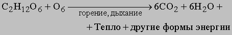 Эрнст Ге́нрих Фили́пп А́вгуст Ге́ккель - student2.ru