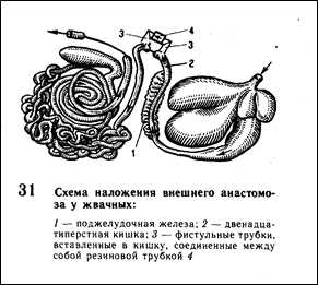 Эволюция сердечно-сосудистой системы. 11 страница - student2.ru