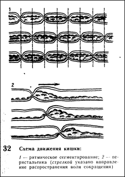 Эволюция сердечно-сосудистой системы. 11 страница - student2.ru