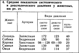 Эволюция сердечно-сосудистой системы. 4 страница - student2.ru