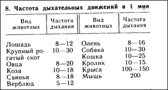 Эволюция сердечно-сосудистой системы. 7 страница - student2.ru