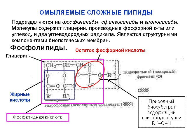 Задачи для самостоятельного решения. 1. Напишите структурные формулы следующих соединений: а) адипиновая кислота; б) - student2.ru