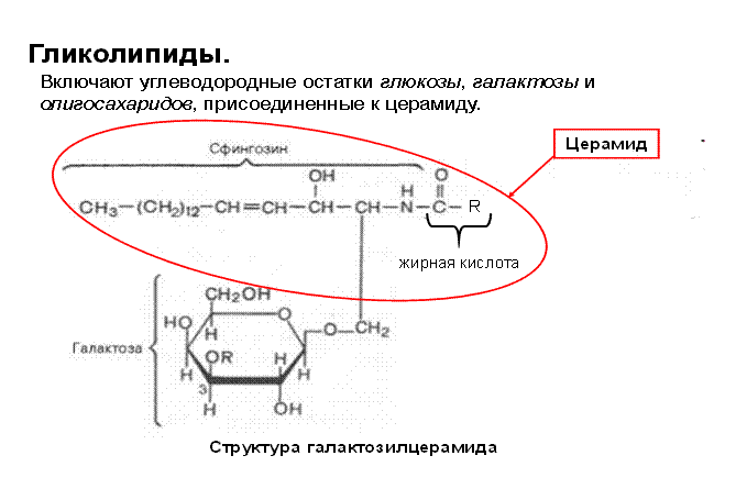 Задачи для самостоятельного решения. 1. Напишите структурные формулы следующих соединений: а) адипиновая кислота; б) - student2.ru