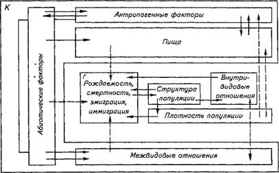 факторы динамики численности популяций - student2.ru