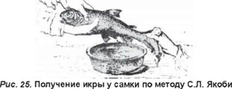 Формирование научных основ рыбоводства в XVIII—XIX веках - student2.ru