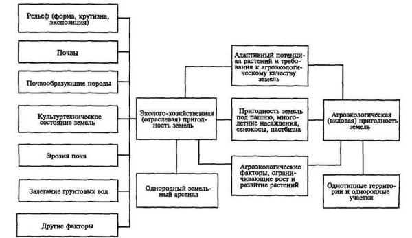 Генеральные схемы и региональные программы использования и охраны земель. - student2.ru