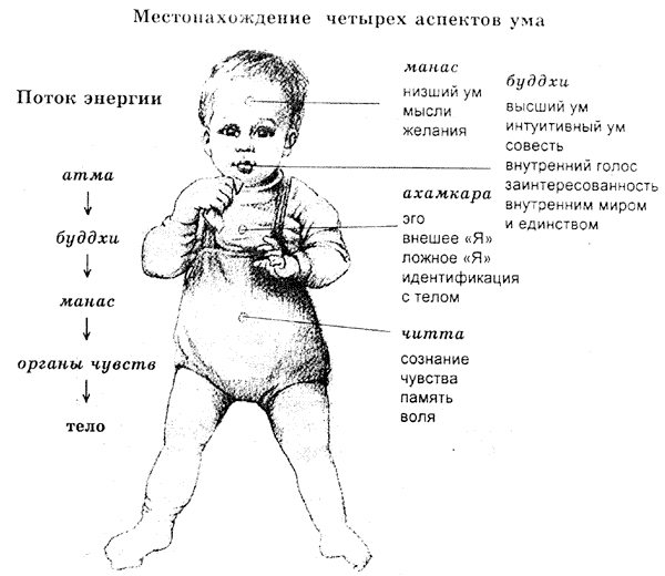 лока самactха сукхино бхаванту - student2.ru