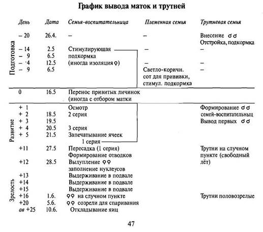 Методы подсадки маток в нормальных условиях в течение всего сезона - student2.ru