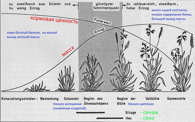 Основные принципы заготовки на лугах качественных кормов - student2.ru