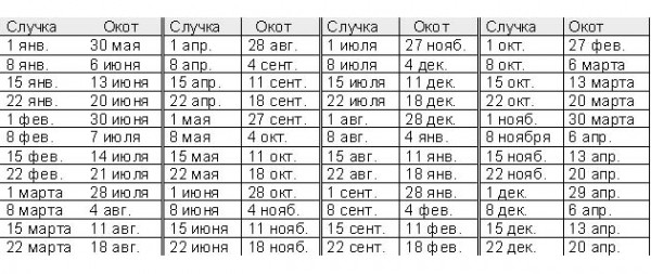 Объем живота начинает увеличиваться ближе ко второй половине беременности, а удои начинают заметно уменьшаться, как правило, через три недели после успешно проведенной случки. - student2.ru