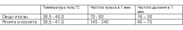 Отличие больного животного от здорового. - student2.ru