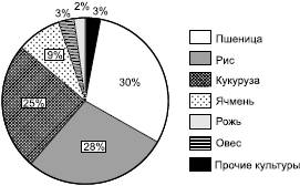 Тема; Зерновые биоресурсы мира - student2.ru