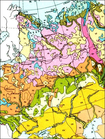 экологические условия формирования лесов европейской части россии и среднего поволжья - student2.ru