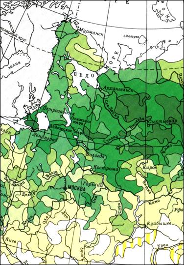 экологические условия формирования лесов европейской части россии и среднего поволжья - student2.ru