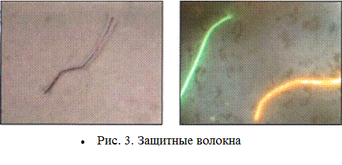 Л А Б О Р А Т О Р Н А Я Р А Б О Т А № 5 - student2.ru