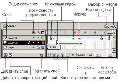 слои и анимация с движением. - student2.ru