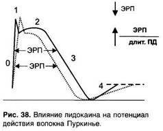 Блокаторы натриевых каналов - student2.ru