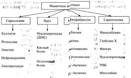 С учетом его химического состава - student2.ru