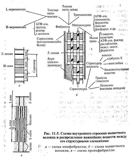 С учетом его химического состава - student2.ru