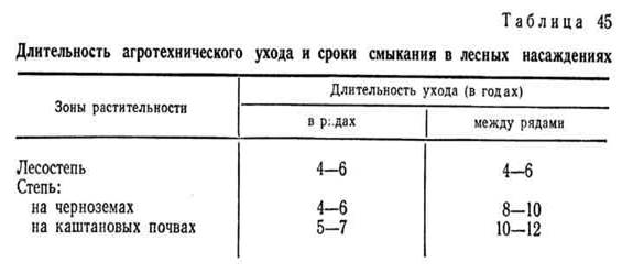 агротехнический уход за лесными насаждениями - student2.ru