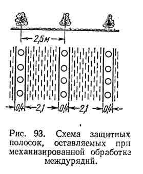 агротехнический уход за лесными насаждениями - student2.ru