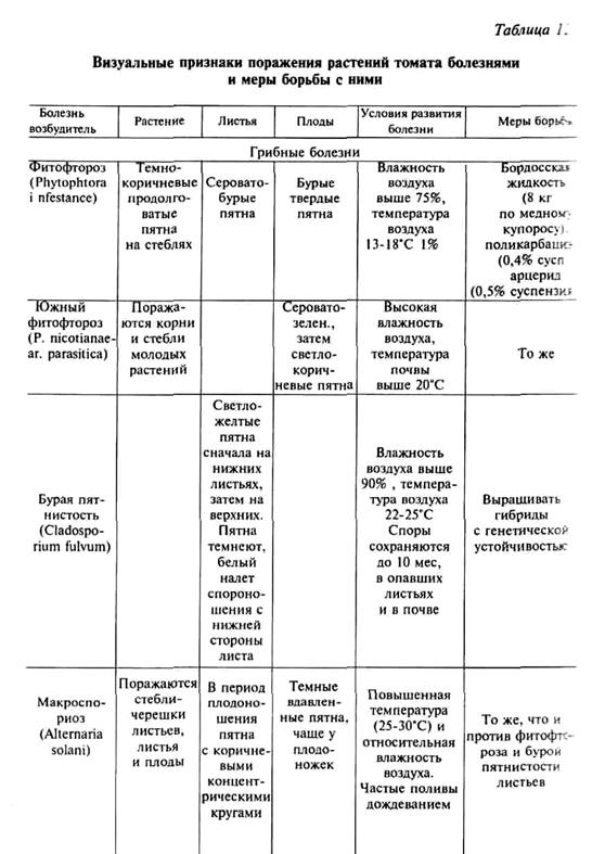 бактериальные заболевания томатов - student2.ru