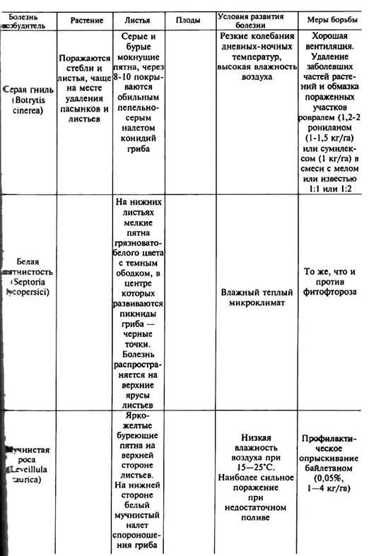 бактериальные заболевания томатов - student2.ru