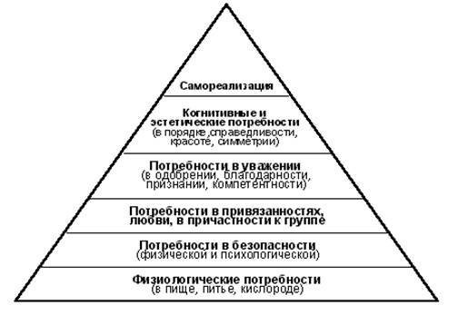 Биосоциальная сущность человека. - student2.ru