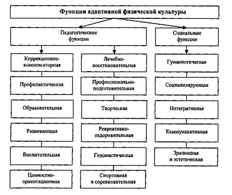 Движение — основа жизнедеятельности - student2.ru