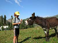 Джеты-Огуз - это курорт, ущелье, скалы, речка... - student2.ru